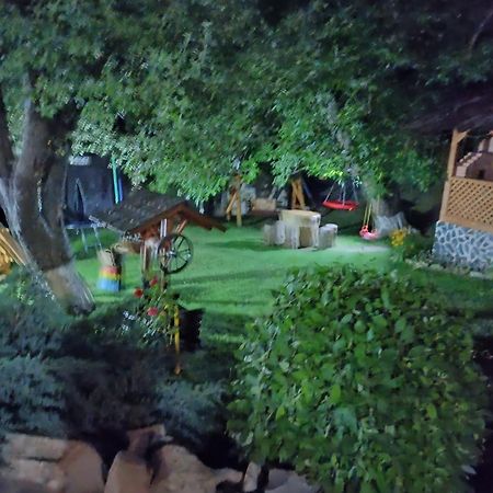 Casa Dintre Pini Villa Păltinoasa Екстериор снимка