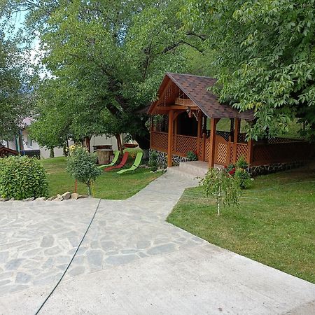 Casa Dintre Pini Villa Păltinoasa Екстериор снимка