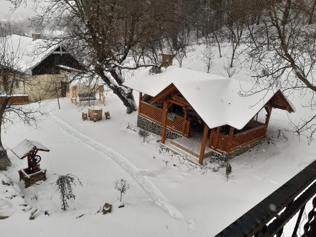 Casa Dintre Pini Villa Păltinoasa Екстериор снимка