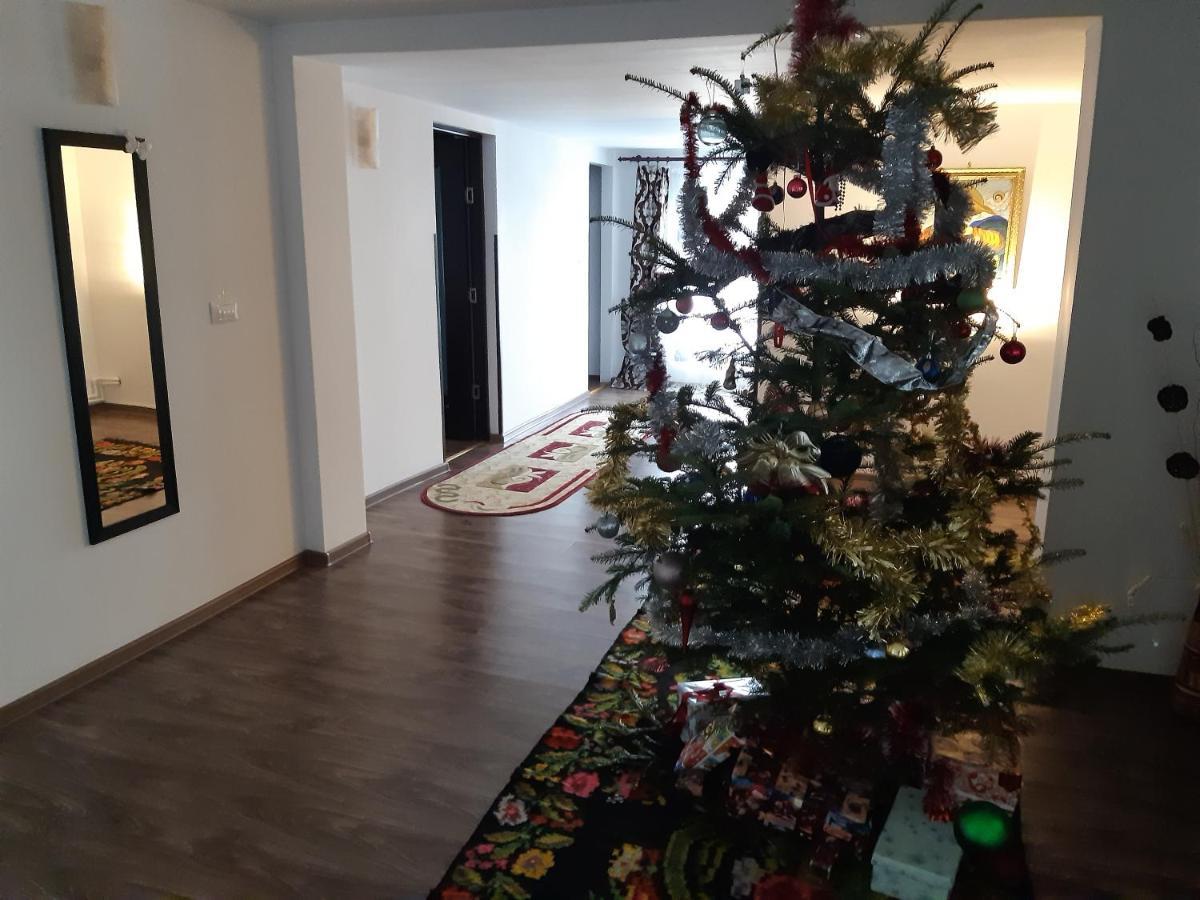 Casa Dintre Pini Villa Păltinoasa Екстериор снимка