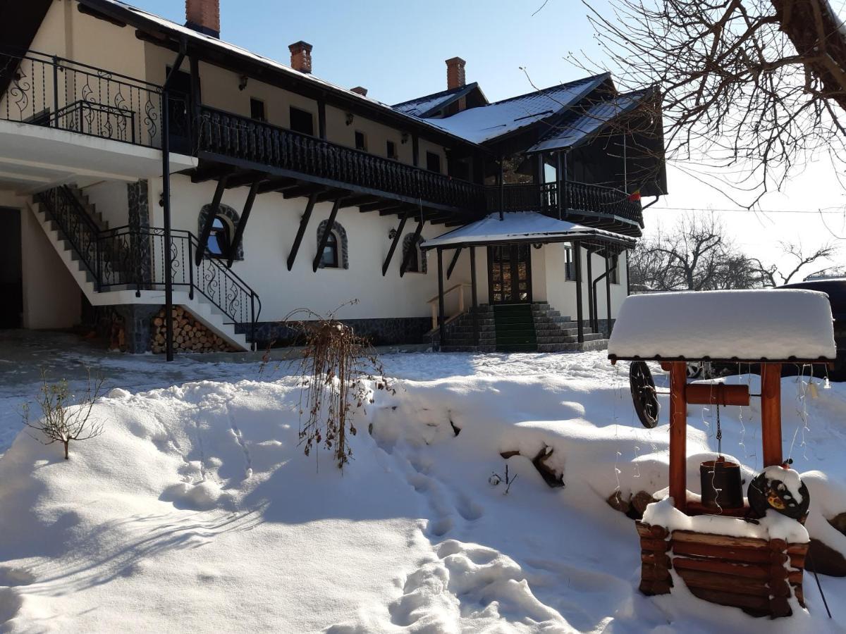 Casa Dintre Pini Villa Păltinoasa Екстериор снимка