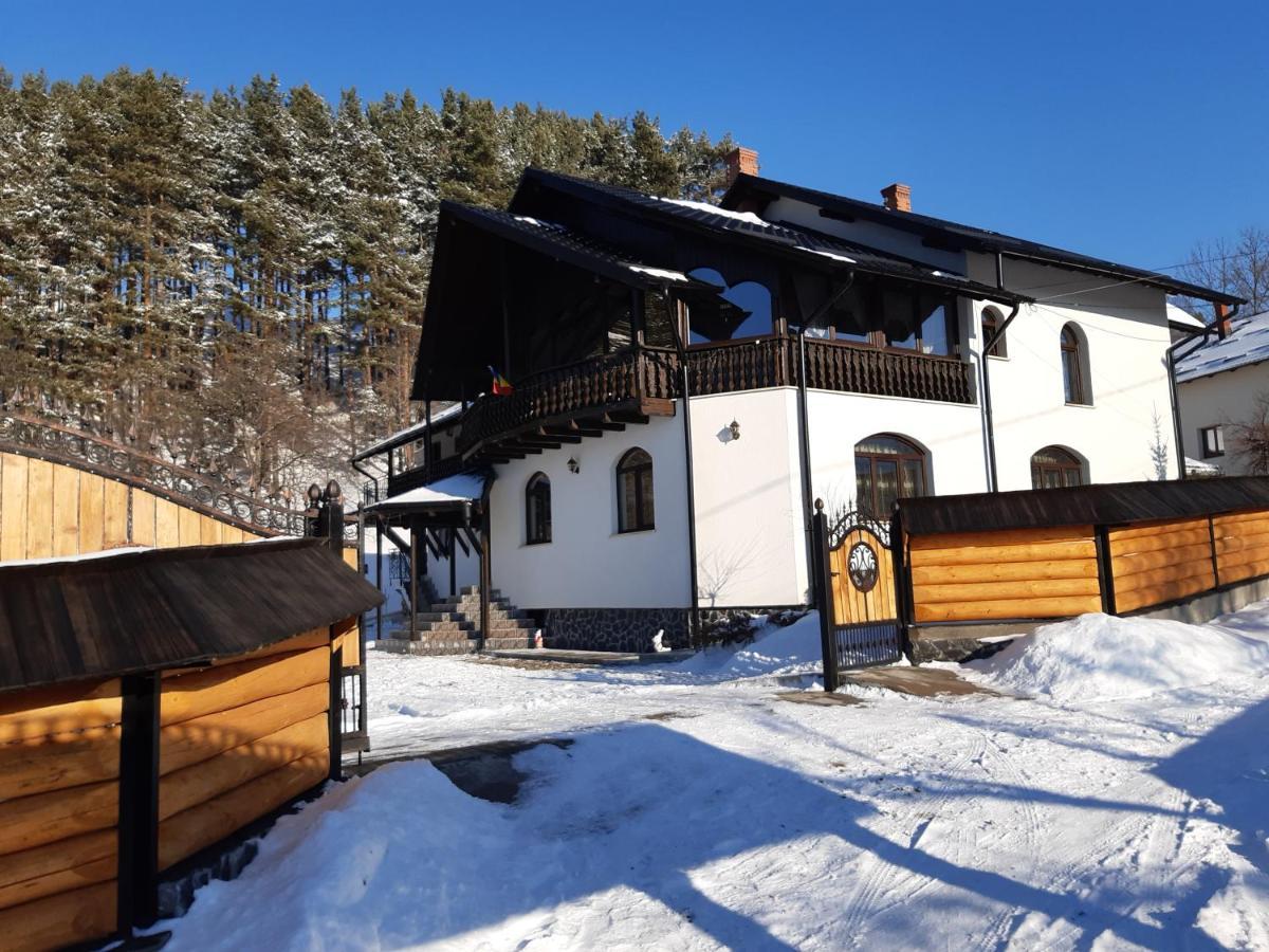 Casa Dintre Pini Villa Păltinoasa Екстериор снимка