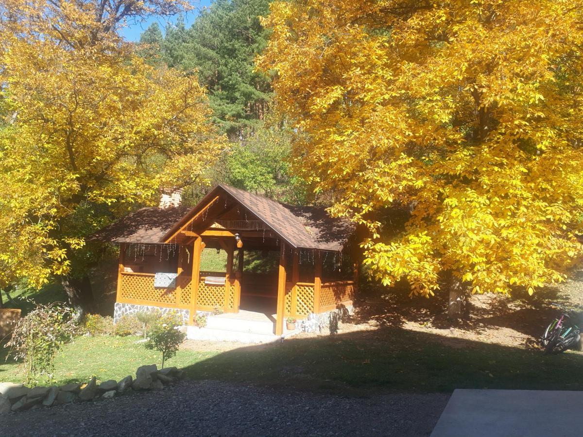 Casa Dintre Pini Villa Păltinoasa Екстериор снимка