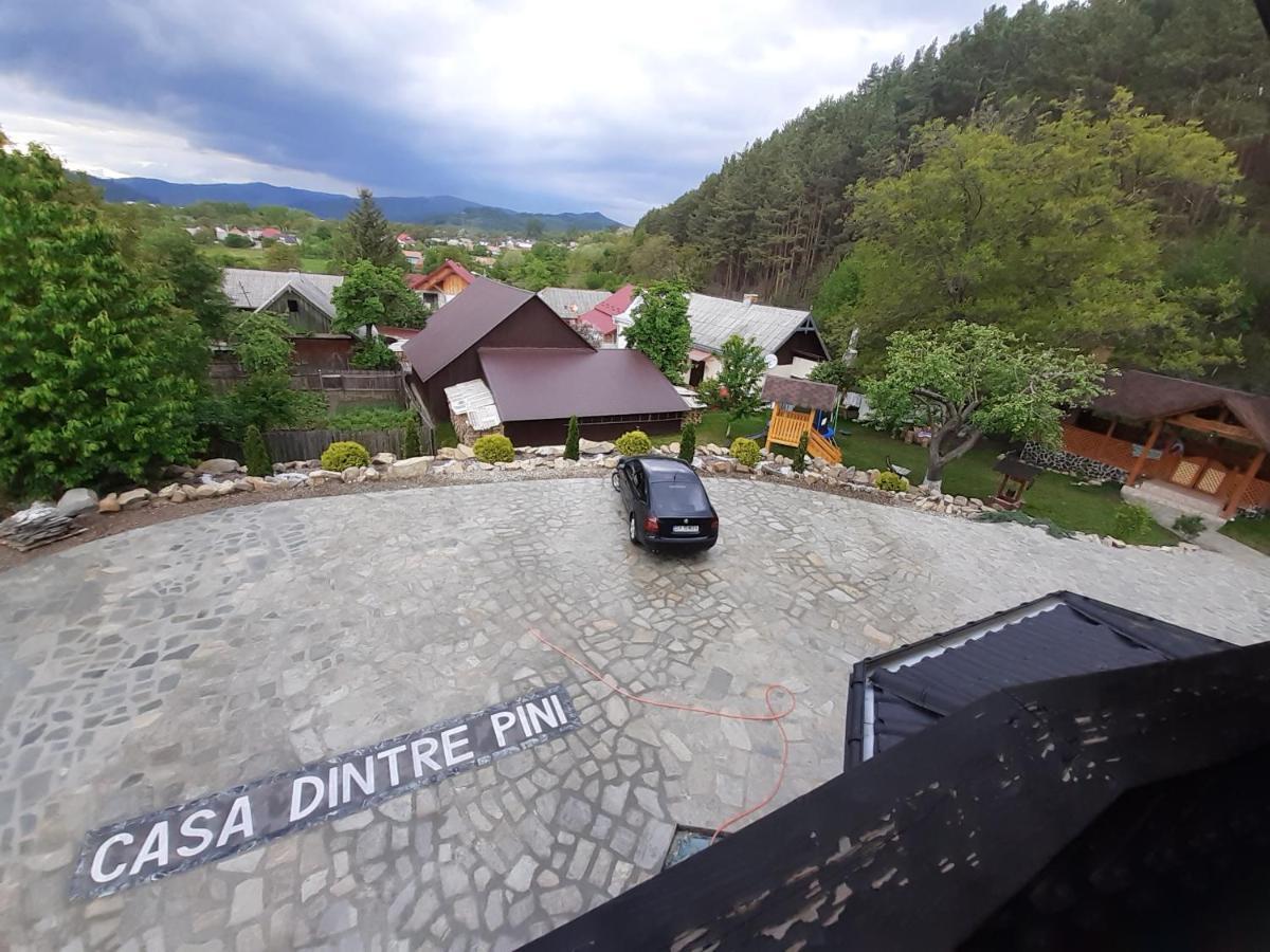 Casa Dintre Pini Villa Păltinoasa Екстериор снимка