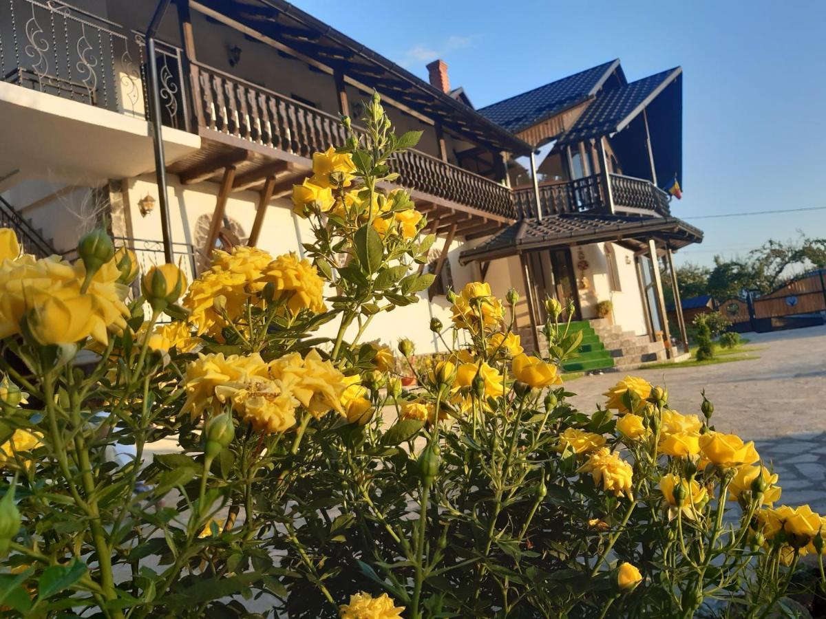 Casa Dintre Pini Villa Păltinoasa Екстериор снимка