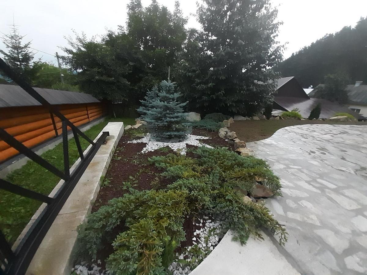 Casa Dintre Pini Villa Păltinoasa Екстериор снимка