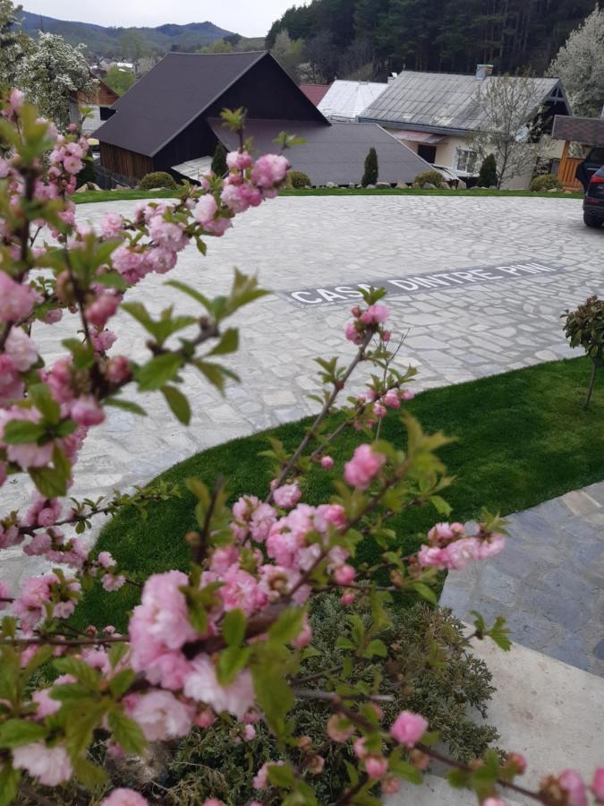 Casa Dintre Pini Villa Păltinoasa Екстериор снимка