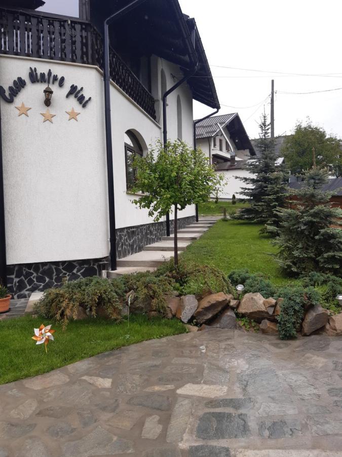 Casa Dintre Pini Villa Păltinoasa Екстериор снимка