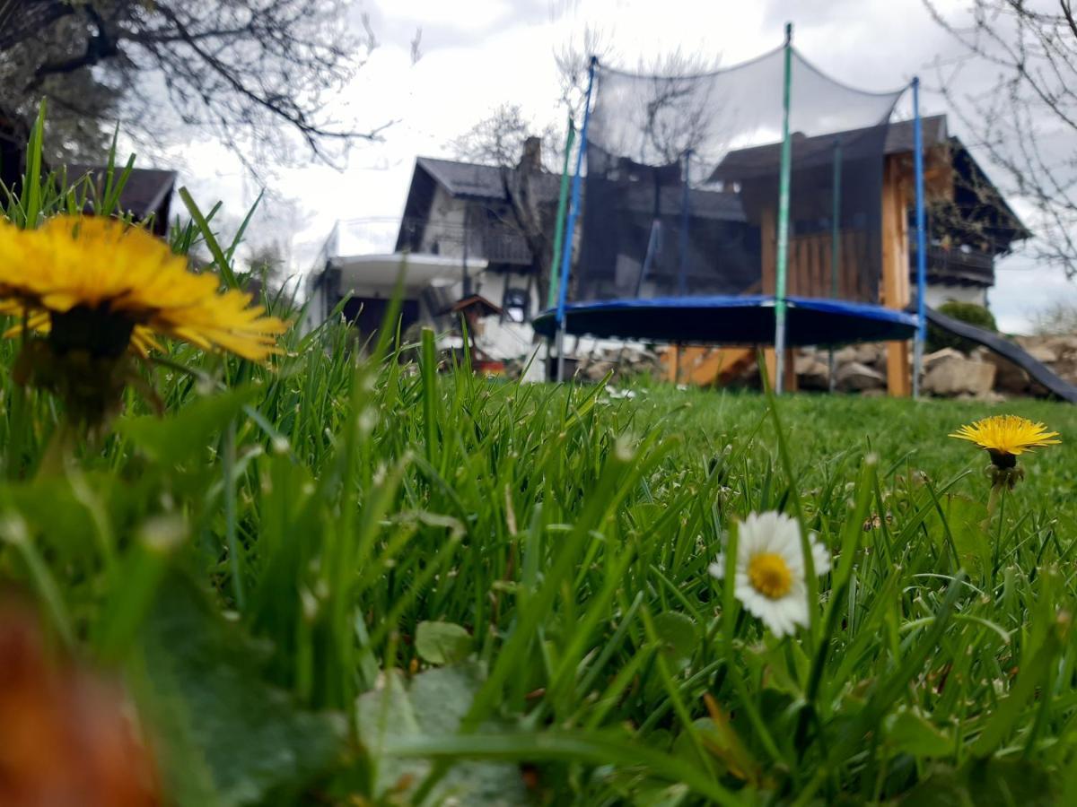 Casa Dintre Pini Villa Păltinoasa Екстериор снимка