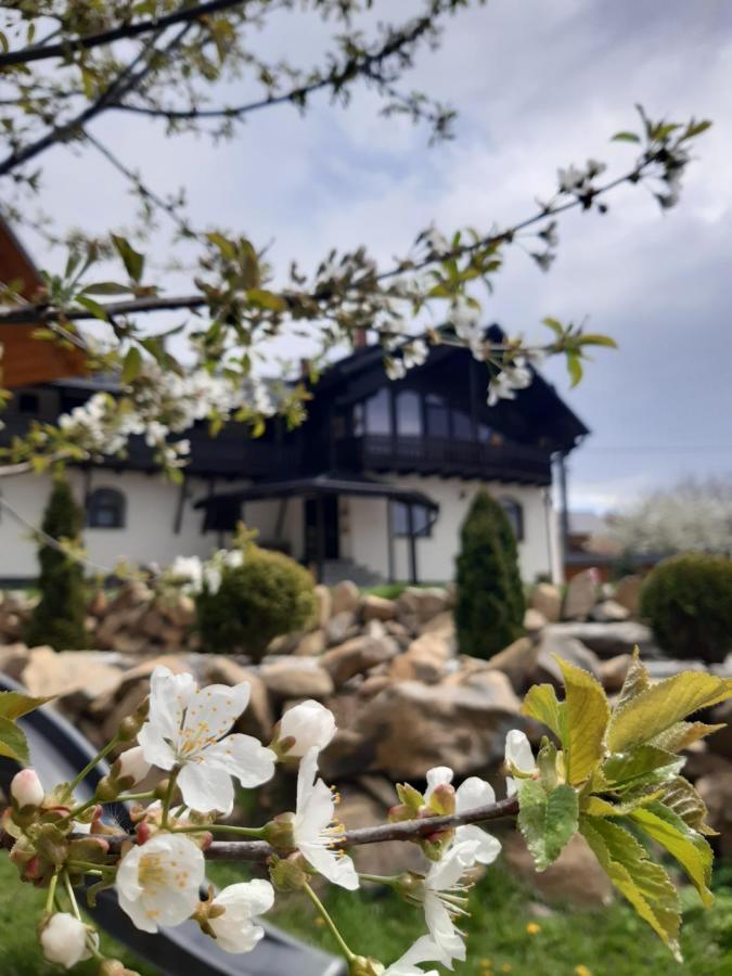 Casa Dintre Pini Villa Păltinoasa Екстериор снимка