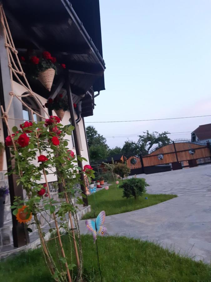 Casa Dintre Pini Villa Păltinoasa Екстериор снимка