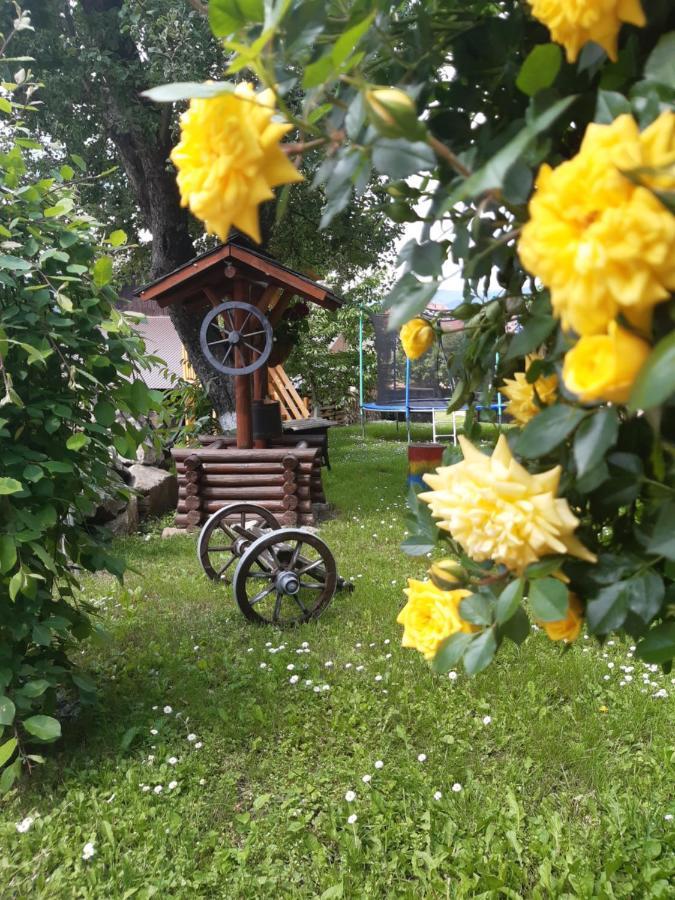 Casa Dintre Pini Villa Păltinoasa Екстериор снимка