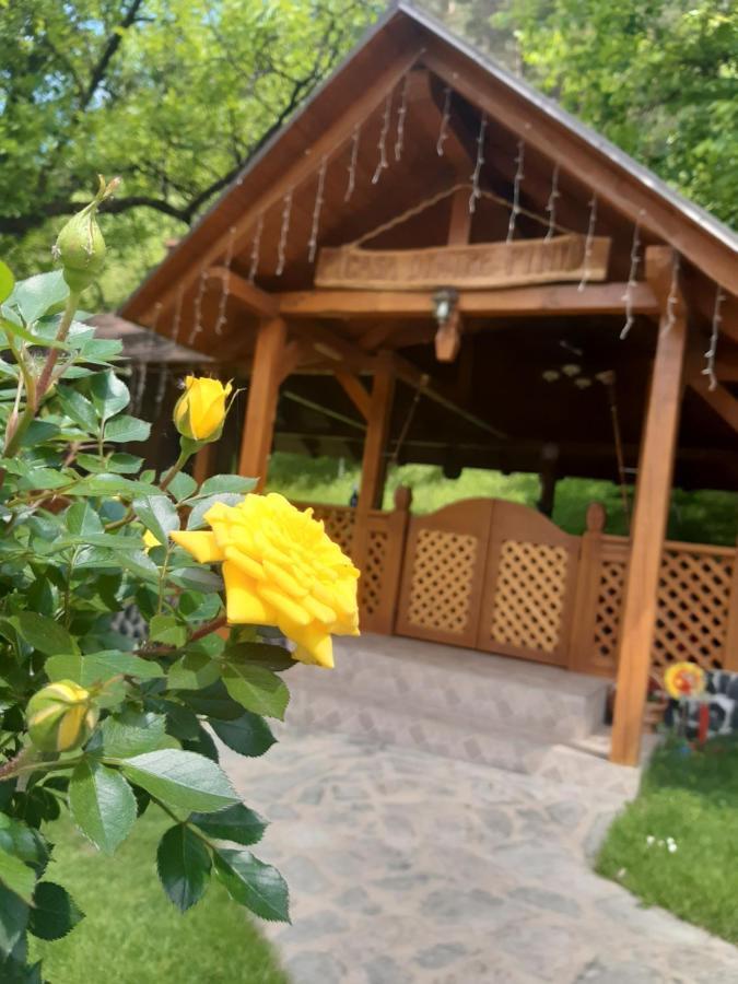 Casa Dintre Pini Villa Păltinoasa Екстериор снимка