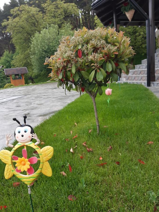 Casa Dintre Pini Villa Păltinoasa Екстериор снимка