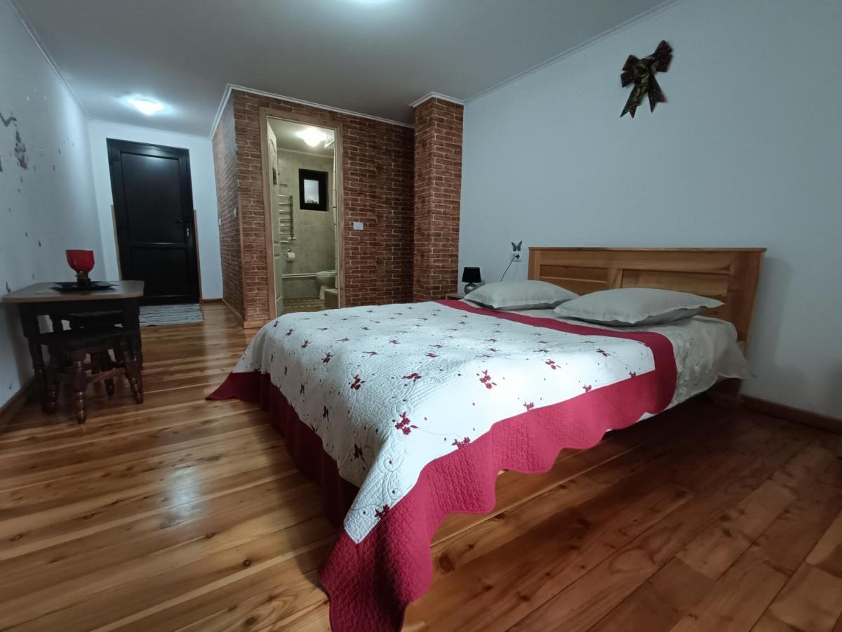 Casa Dintre Pini Villa Păltinoasa Екстериор снимка