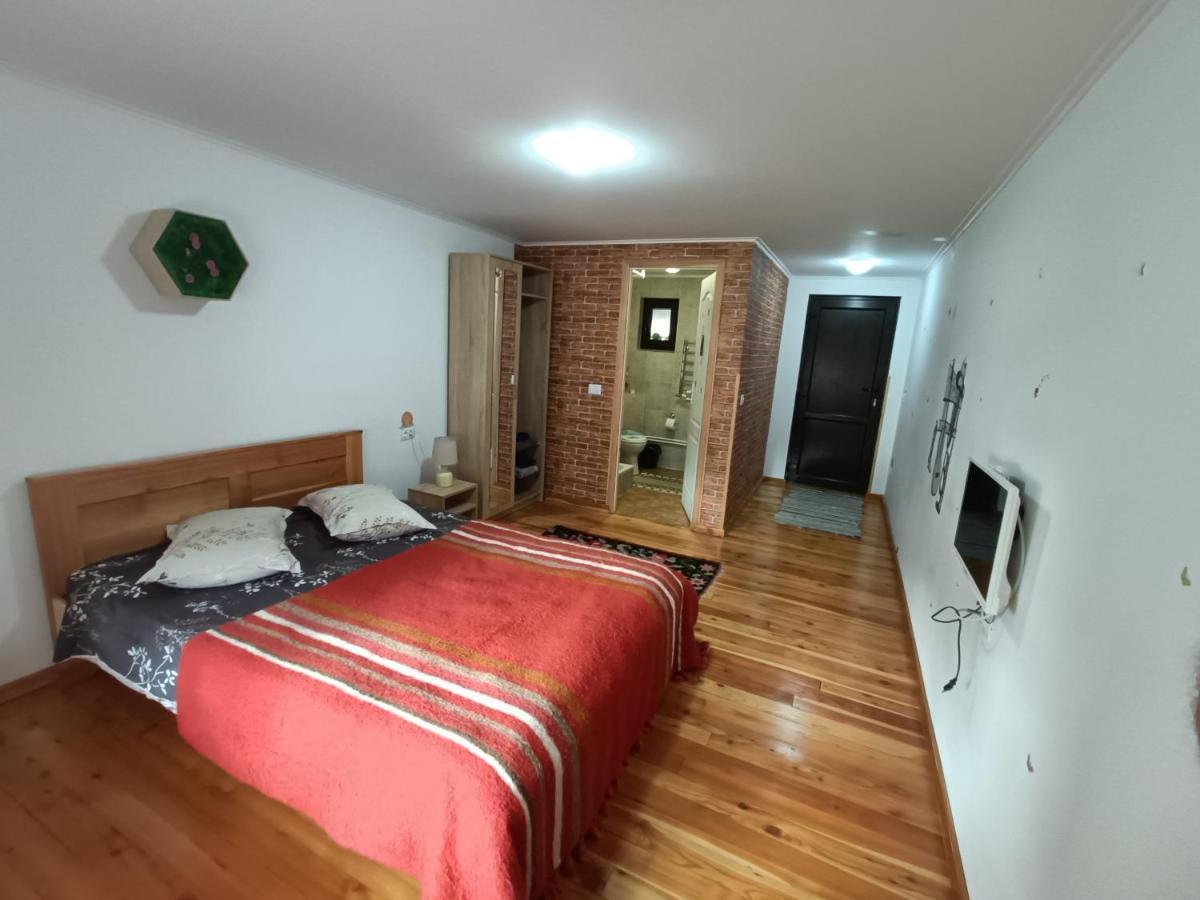 Casa Dintre Pini Villa Păltinoasa Екстериор снимка