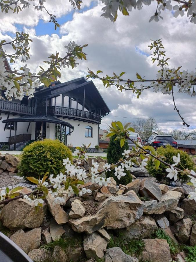 Casa Dintre Pini Villa Păltinoasa Екстериор снимка