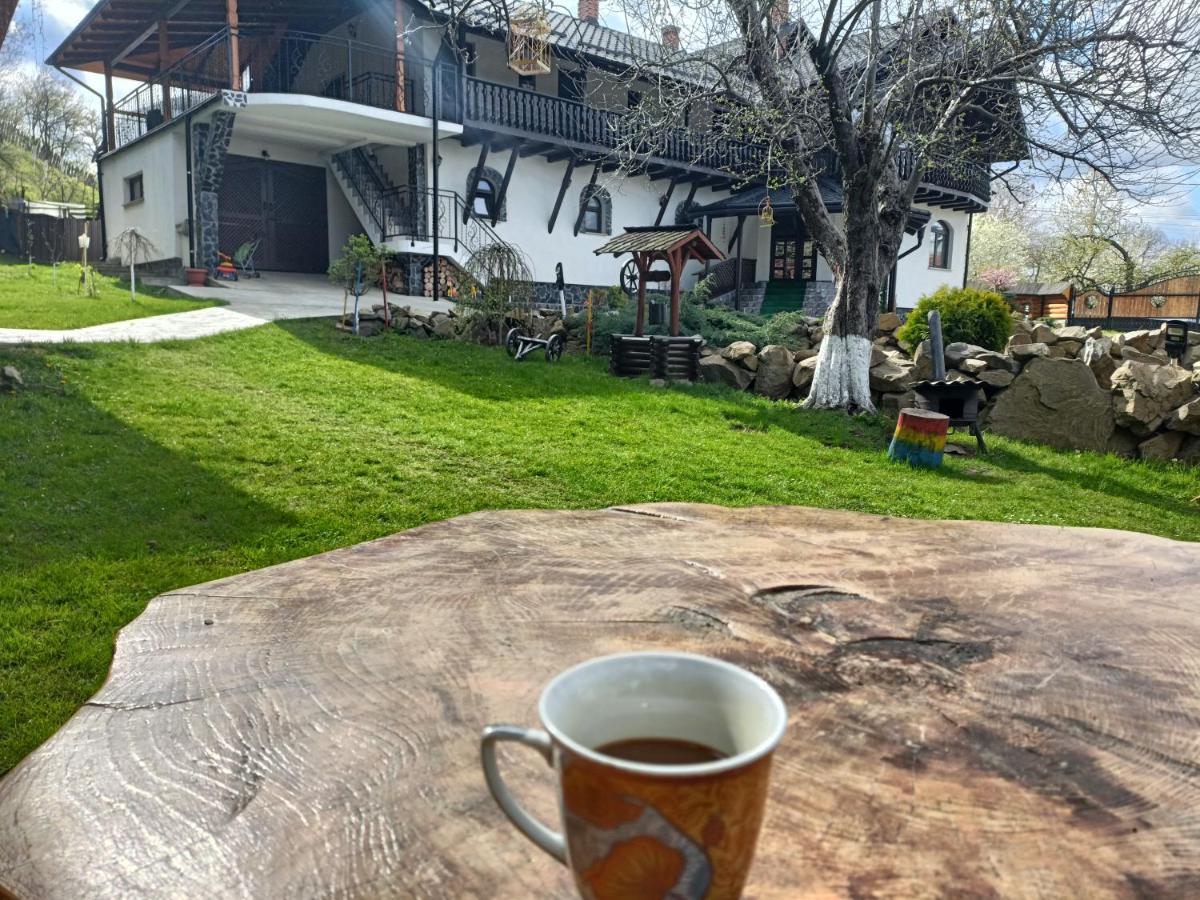 Casa Dintre Pini Villa Păltinoasa Екстериор снимка