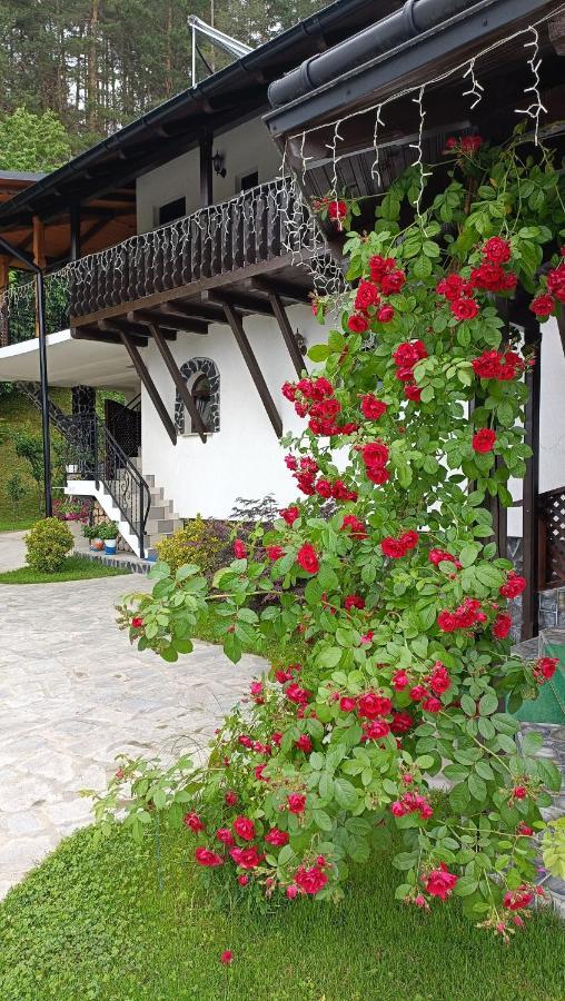 Casa Dintre Pini Villa Păltinoasa Екстериор снимка