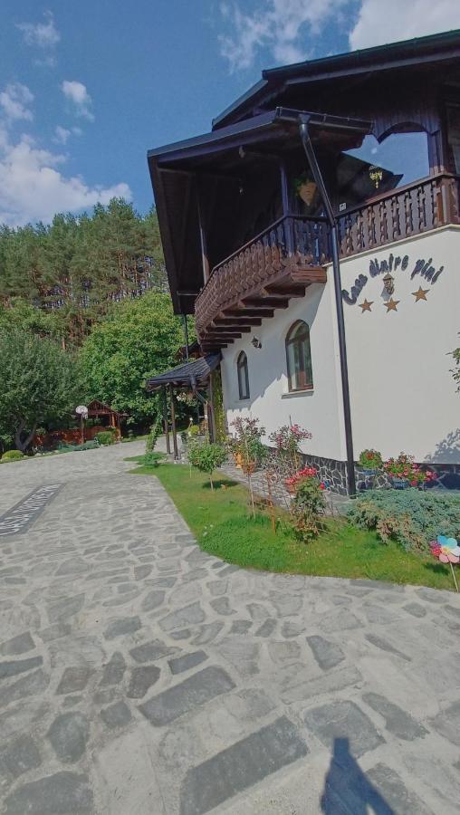 Casa Dintre Pini Villa Păltinoasa Екстериор снимка