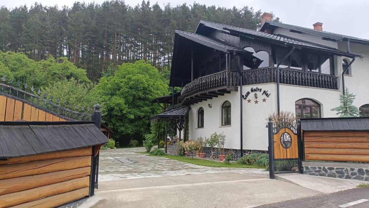 Casa Dintre Pini Villa Păltinoasa Екстериор снимка