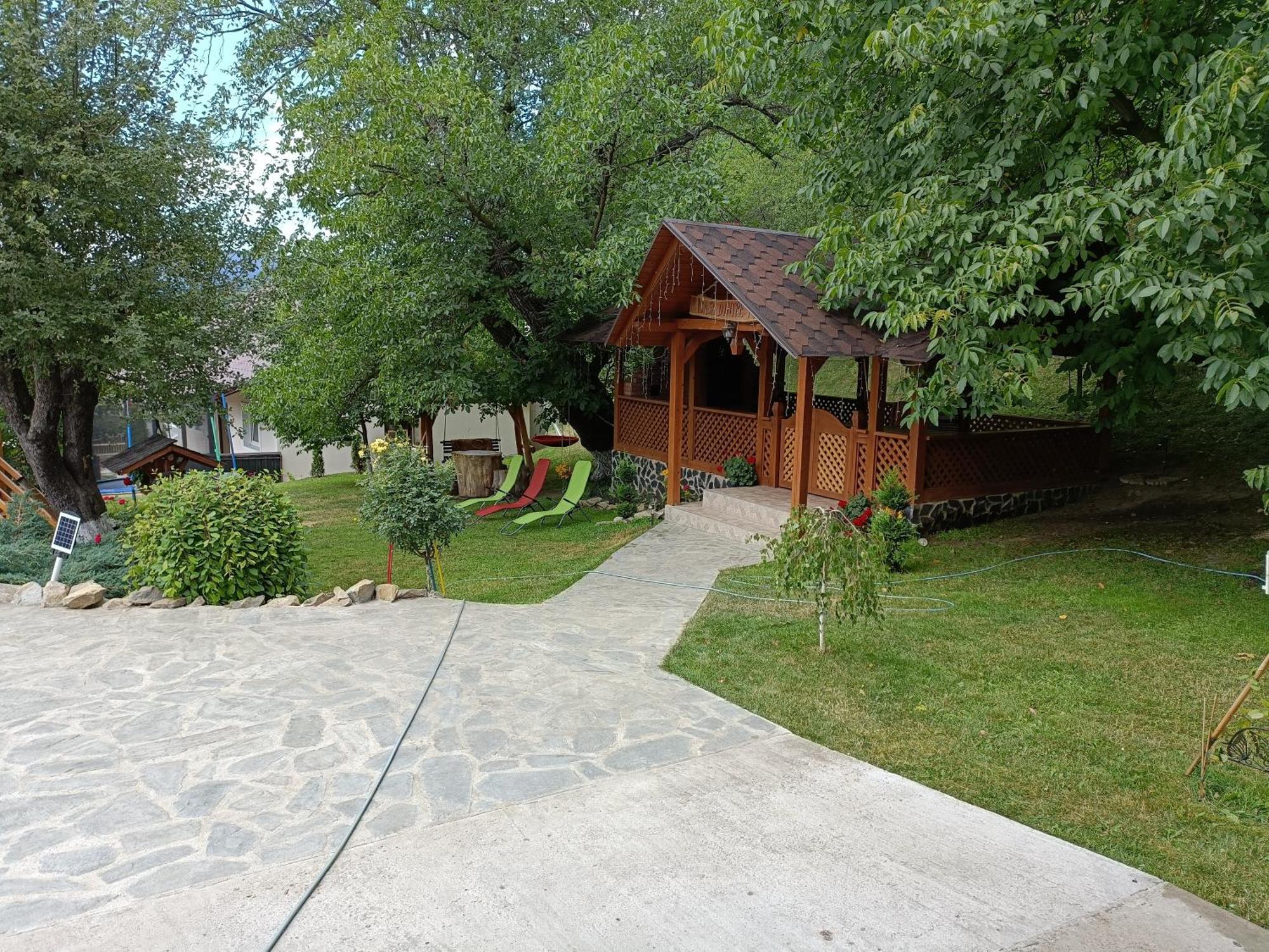 Casa Dintre Pini Villa Păltinoasa Екстериор снимка