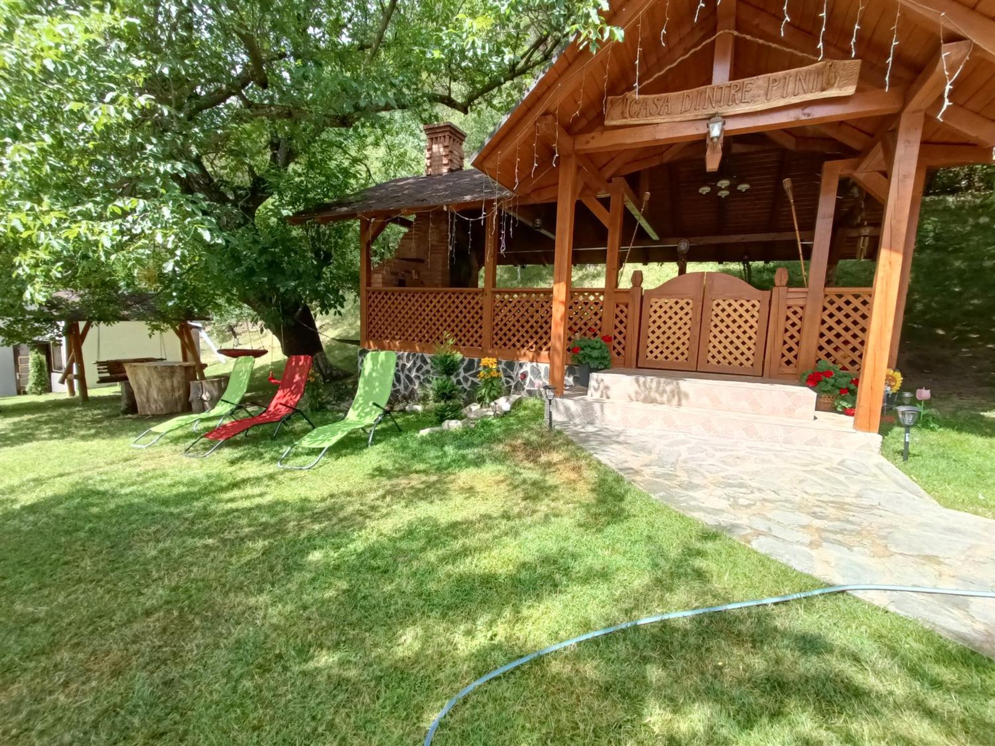 Casa Dintre Pini Villa Păltinoasa Екстериор снимка